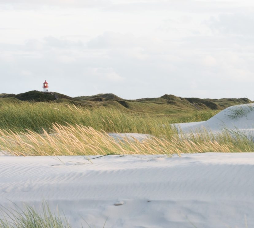 Strand mit Dünengras und Leuchtturm.